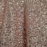BNWT glittery top Image 3