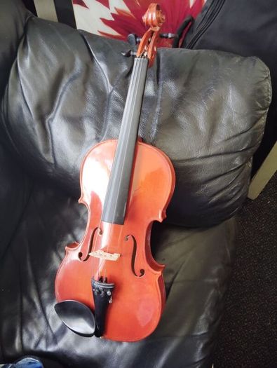 skylark violin