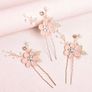 New Hair Pins / Clips Image 2