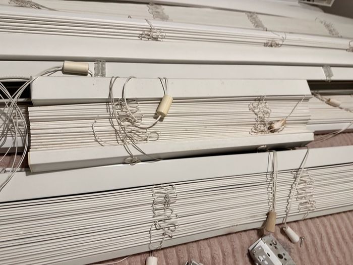 window blinds