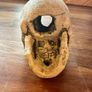 Aquarium Skull Image 3