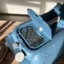 Cat Carrier Image 2
