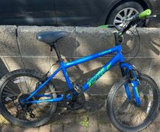 Verve Childs bike