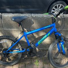 Verve Childs bike