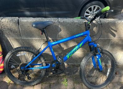Verve Childs bike