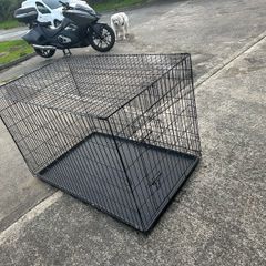extra large dog crate