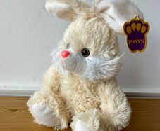Plush bunny new