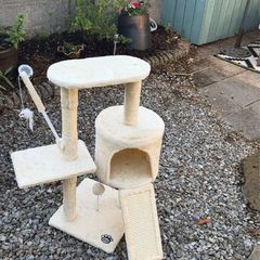 cat tree/ scratching post