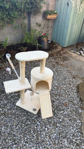cat tree/ scratching post