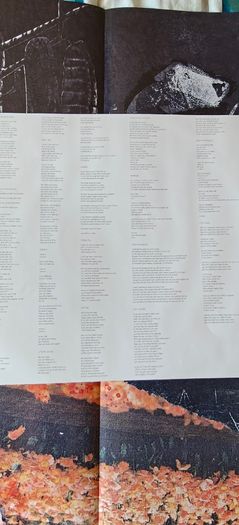 Palace Music Lost Blues And Other Songs