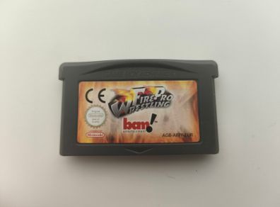 Gameboy Advance Game Fire Pro Wrestling