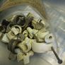 Plumbing Fittings Image 7