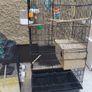 bird cage Image 5