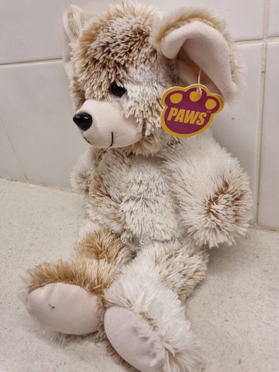 Gund and Paws Soft Plushy Teddys