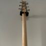 Prs silversky Image 5