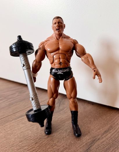 Wwe figure