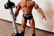 Wwe figure