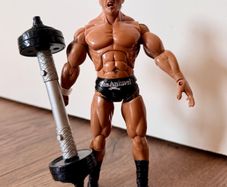 Wwe figure