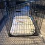 Xl dog crate with bedding Image 4