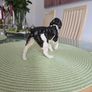 porcelain collectible Image 3