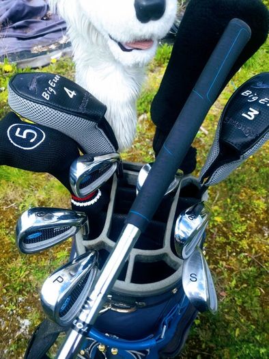 Set of Ladies Golf Clubs
