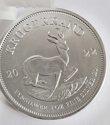 Tube of 10 Krugerrand Silver Coins 2022