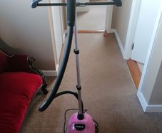 Fridja Professional Steamer