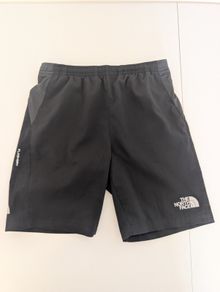 North Face reactor shorts