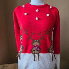 Christmas jumper - 33/34IN