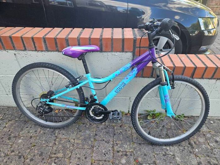24 inch Apollo bike