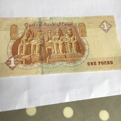 Rare Egypt Banknote One Pound
