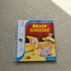 puzzle - smart game Brain Cheeser
