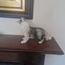 porcelain dog Image 2