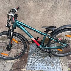 Cube Acid Race 24-inch