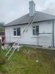 Roof Ladder