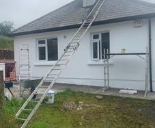 Roof Ladder