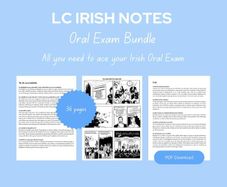 Leaving Cert Irish Oral Exam Notes