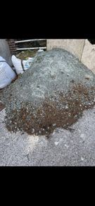 FREE - Gravel