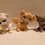 Polly Pocket Sparklin' Pets x 6 Image 2