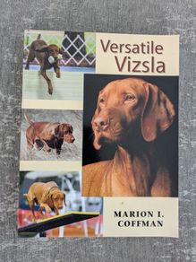 Versatile vizsla