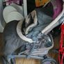 Graco Pram & Car Seat Image 2