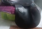 Fabulous Ideal Saddle