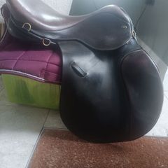 Fabulous Ideal Saddle