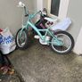 Free bike kid Image 2