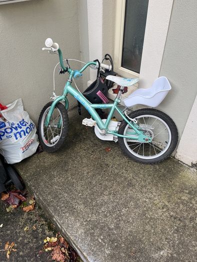 Free bike kid