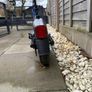 Segway F25 Electric Scooter Image 3