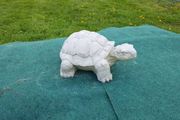Turtle-GL-SA023