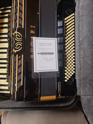 New Bugari 288 gold plus 120 Bass accordion