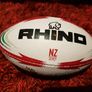 Original rare Brian O driscoll small palmsize collectable rugby ball Image 2