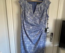 Adrianna Papell ladies cornflower blue and silver dress